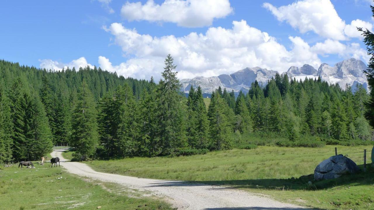 Alpenhaus Dachstein.Zauber Apartment Абтенау Екстериор снимка