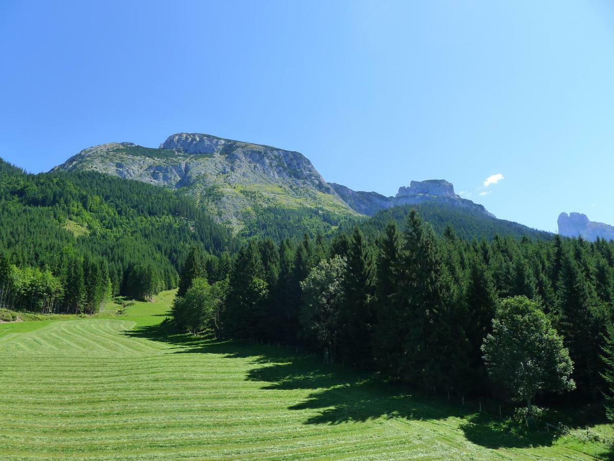 Alpenhaus Dachstein.Zauber Apartment Абтенау Екстериор снимка