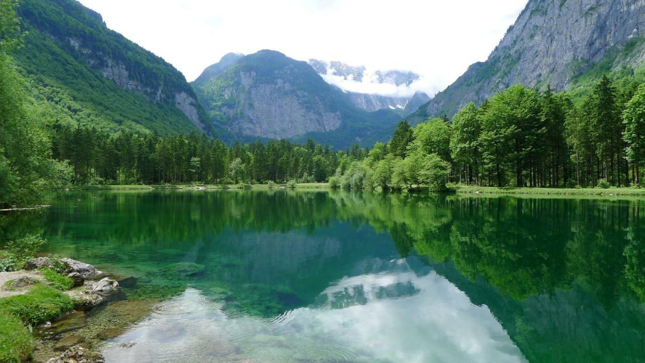 Alpenhaus Dachstein.Zauber Apartment Абтенау Екстериор снимка