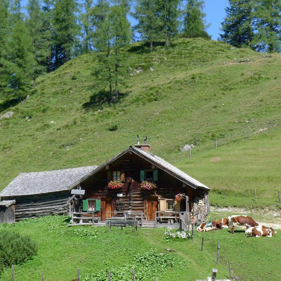 Alpenhaus Dachstein.Zauber Apartment Абтенау Екстериор снимка