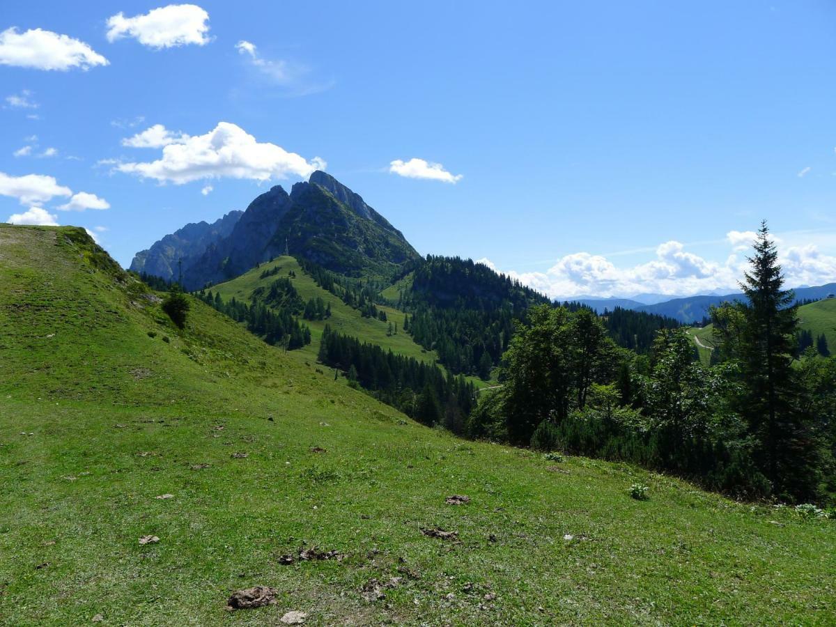 Alpenhaus Dachstein.Zauber Apartment Абтенау Екстериор снимка