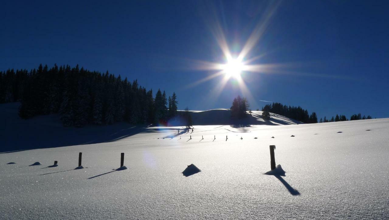 Alpenhaus Dachstein.Zauber Apartment Абтенау Екстериор снимка