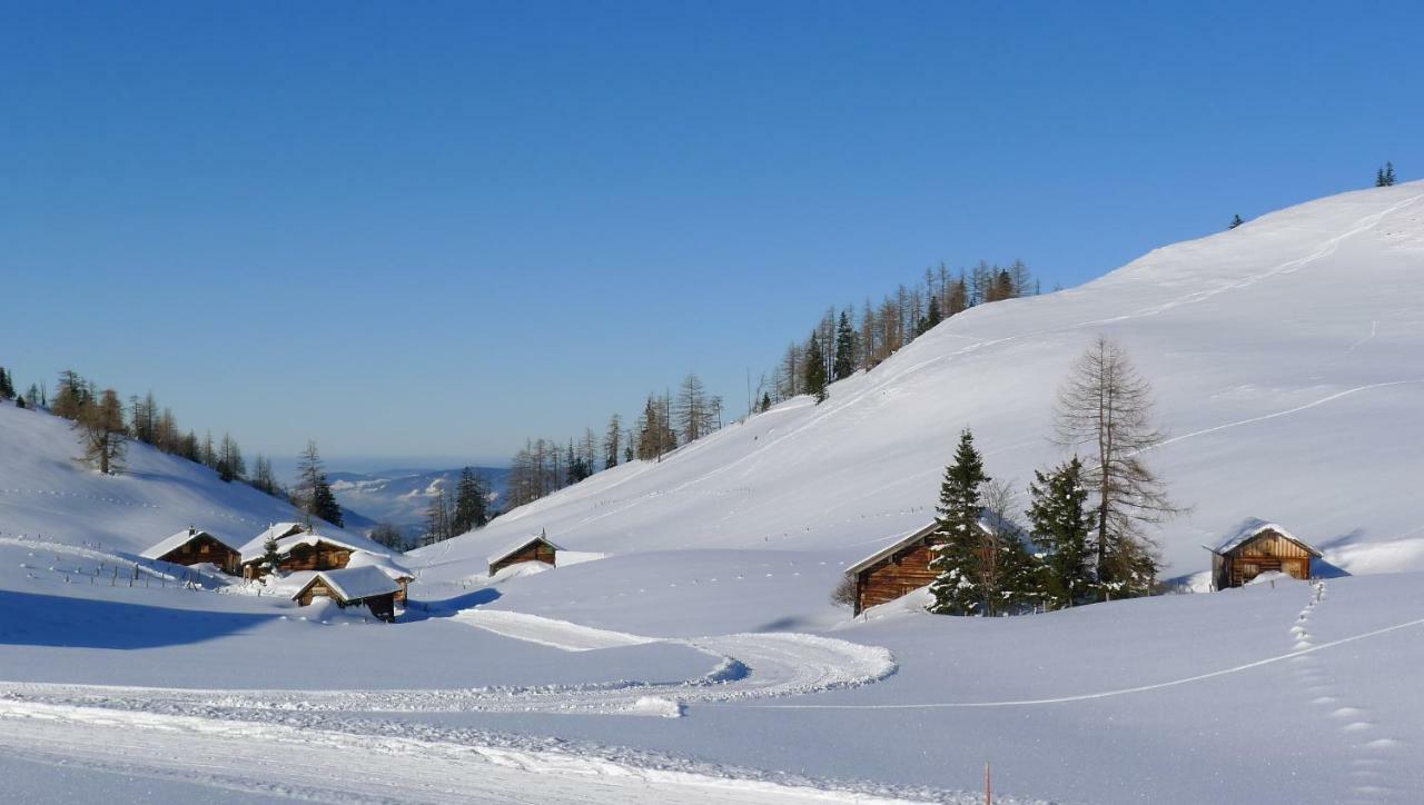 Alpenhaus Dachstein.Zauber Apartment Абтенау Екстериор снимка