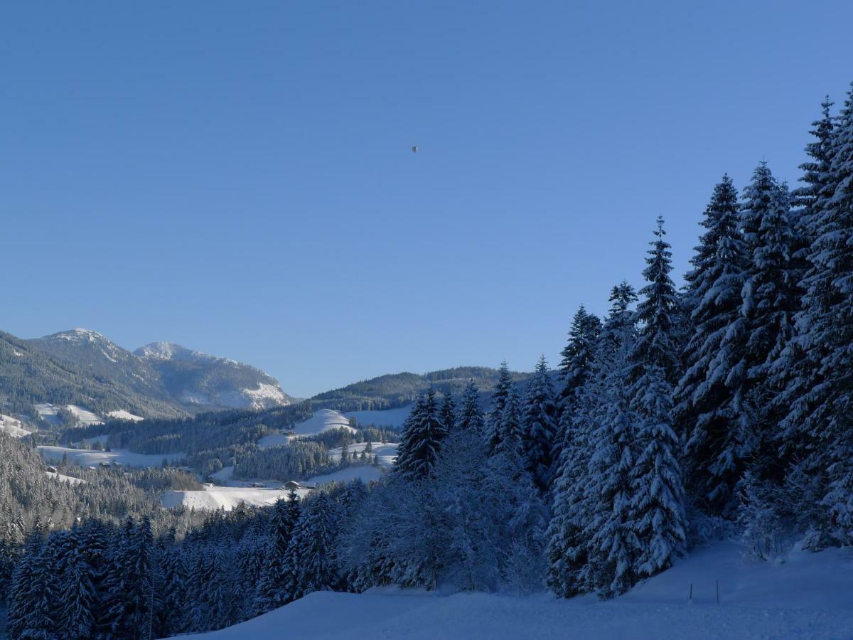 Alpenhaus Dachstein.Zauber Apartment Абтенау Екстериор снимка